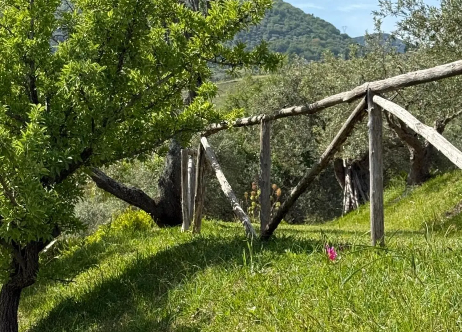 Hotel Agrolea Terme Vigliatore